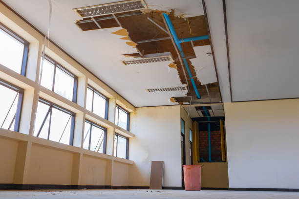 Best Sewage cleanup and water damage restoration  in Union Grove, WI