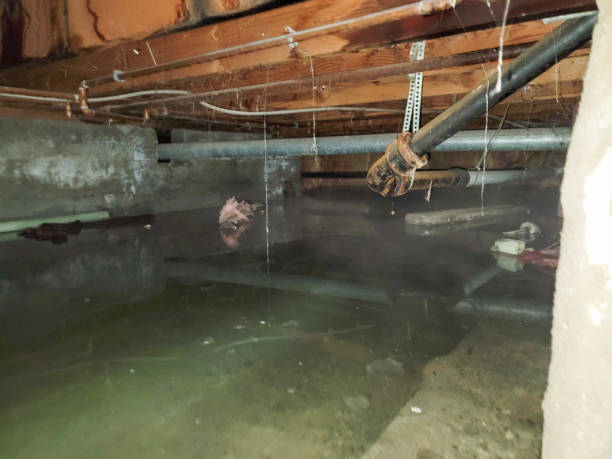  Union Grove, WI Water damage restoration Pros