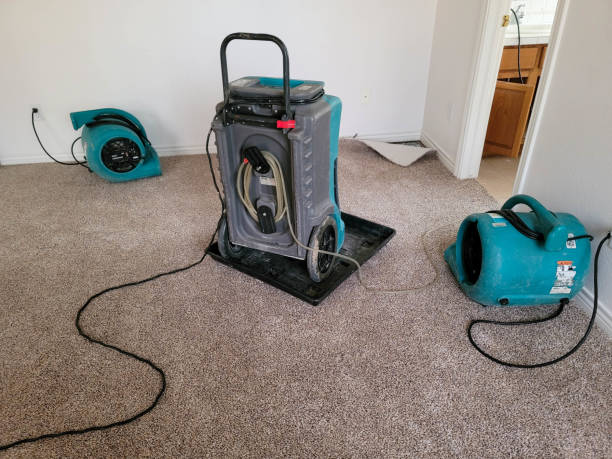 Best Flooded house restoration  in Union Grove, WI