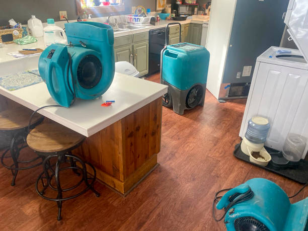 Trusted Union Grove, WI Water damage restoration Experts