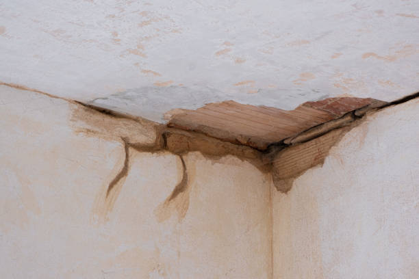 Best Commercial water damage restoration  in Union Grove, WI