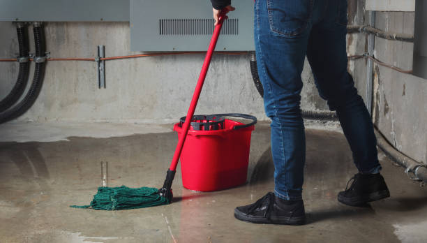 Best Mold removal after water damage  in Union Grove, WI
