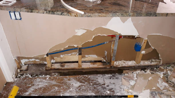 Best Water damage repair service  in Union Grove, WI