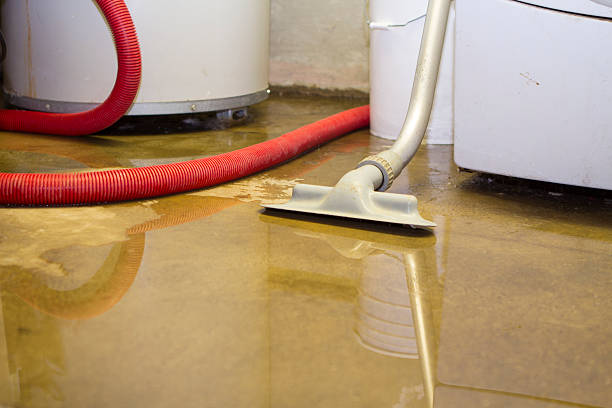 Best Water damage restoration near me  in Union Grove, WI