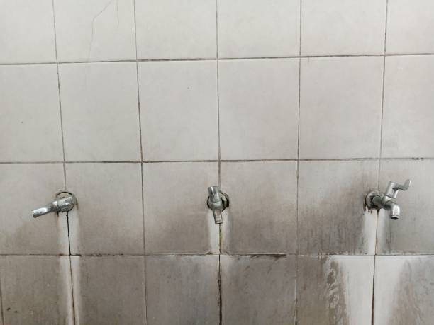 Best 24/7 water damage repair  in Union Grove, WI