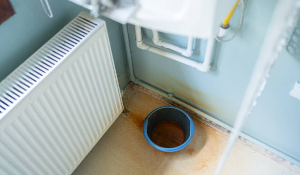 Best Professional water damage repair  in Union Grove, WI