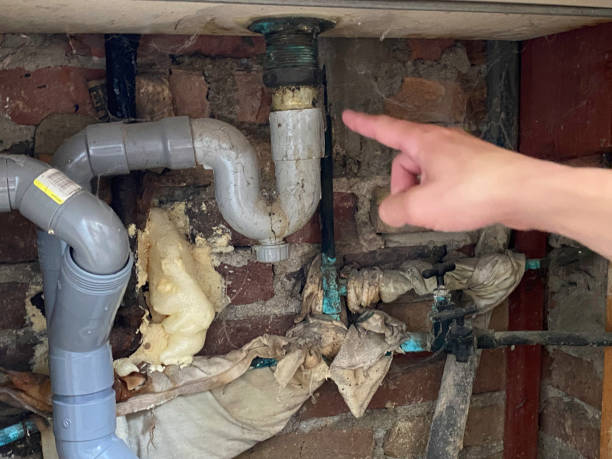 Best Sewage cleanup and water damage restoration  in Union Grove, WI